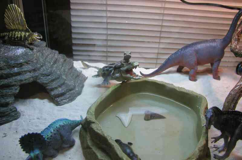 Rearranged Tank