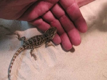 Eating out of my hand
