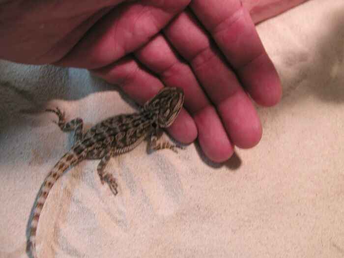 Eating out of my hand