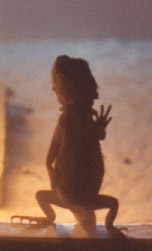 We come in peace.