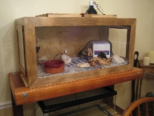 Macklot cage