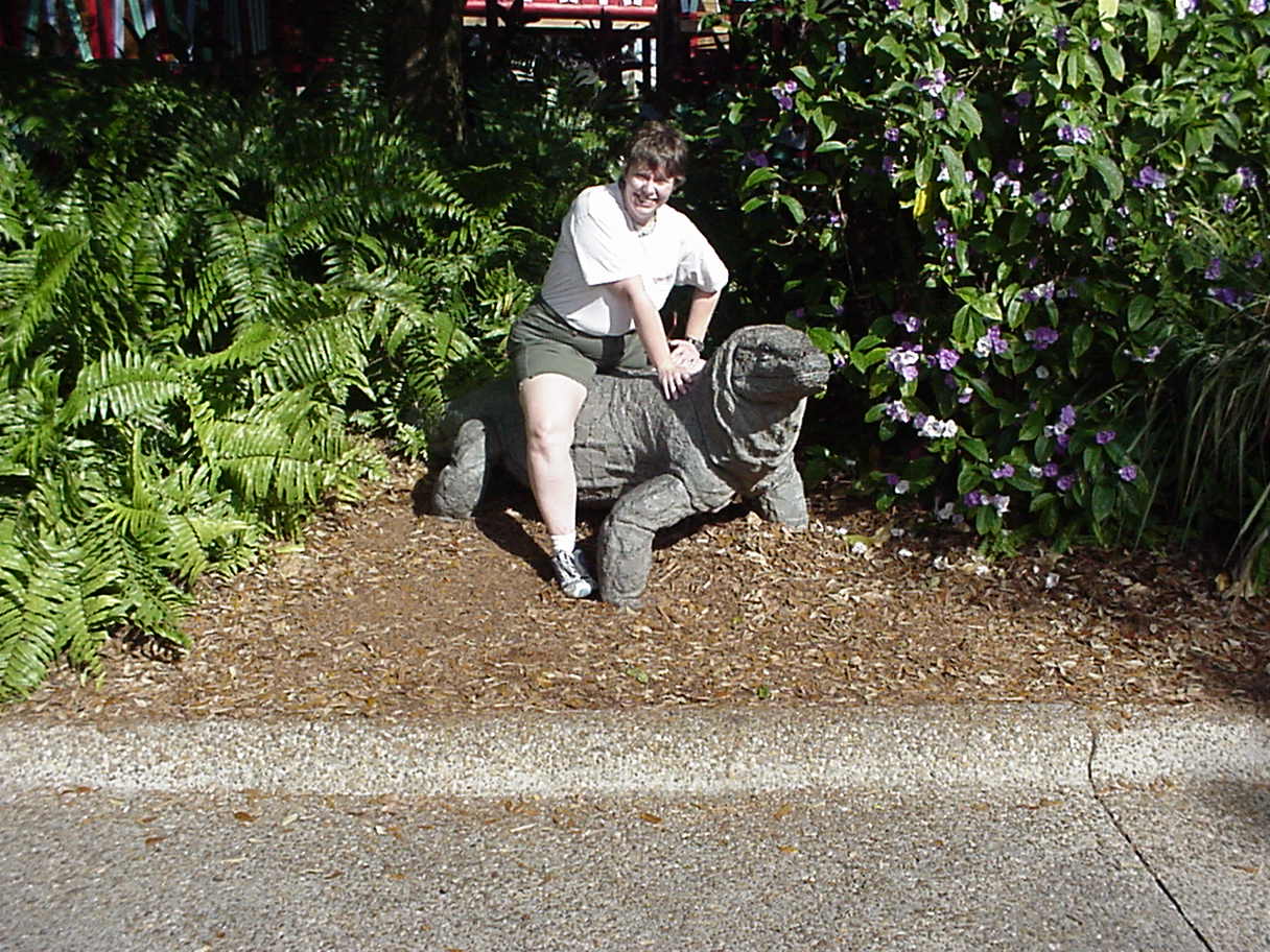 me and dragon