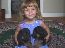 Haus Juris German Shepherd Puppies!