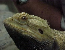 george2