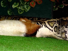 Samantha having lunch