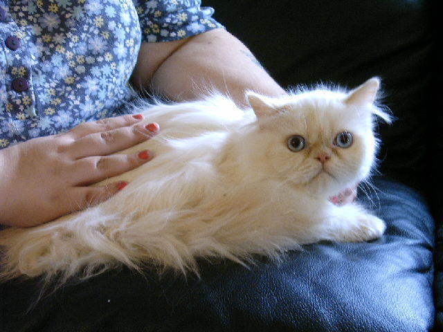 Ivan3