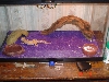 my tank