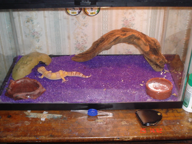 my tank