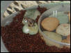 Small Toad