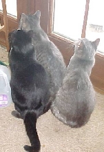 Avid bird-watchers