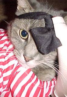 Blake the Pirate