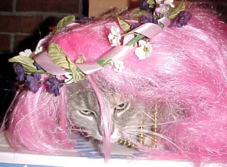 Cricket the Flower Party Girl