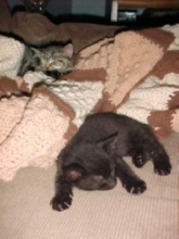 a long day
