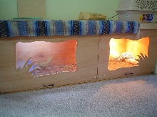 Tegu Cage