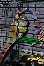 Let me out!!!!