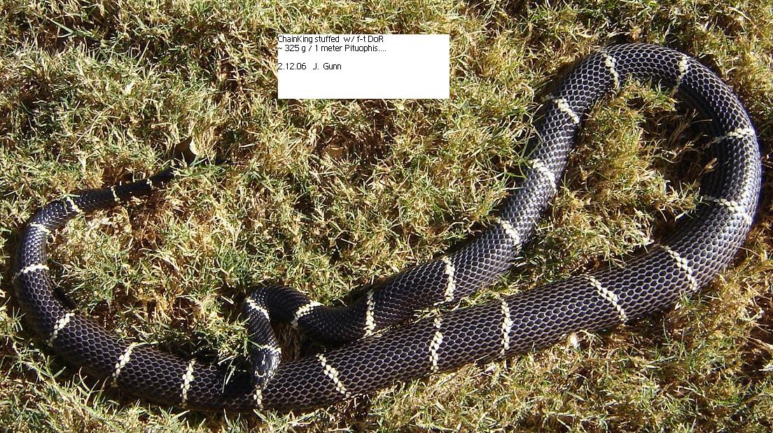 Chain-stuuft