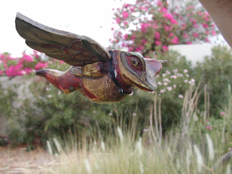 FlyingFrog