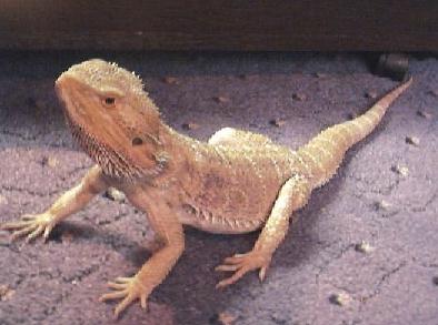 Spike again