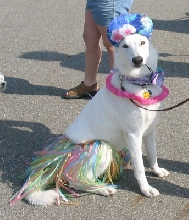 Brianna with her hula skirt on!