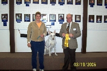 Bree's 1st Obedience Trial