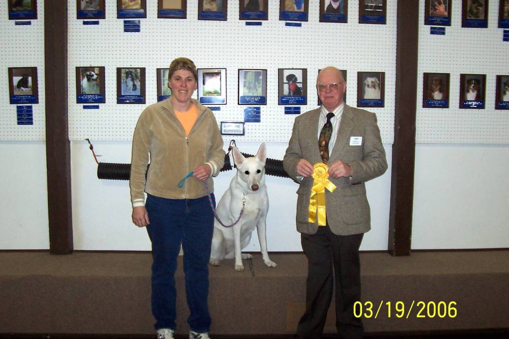 Bree's 1st Obedience Trial