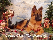 Complete Chaos Von Steppenwolf