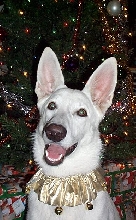 Brianna {Christmas 2003, 7.5 months old}