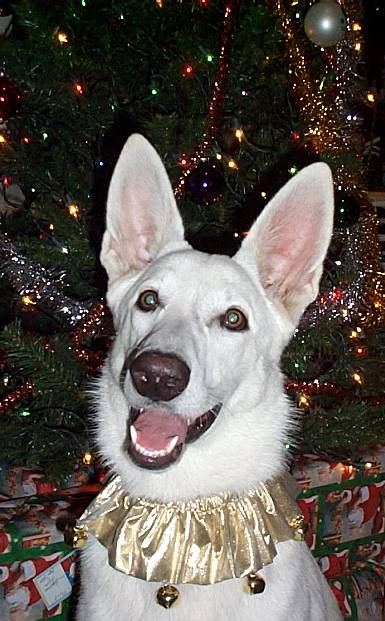 Brianna {Christmas 2003, 7.5 months old}
