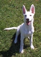 Brianna at 16 weeks