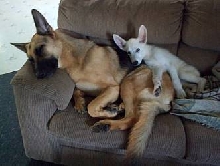 Snoozin Time