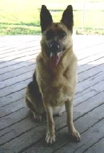 Miss Princess.  Princess will be 4 years old on May 11th, 2005