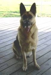Miss Princess.  Princess will be 4 years old on May 11th, 2005