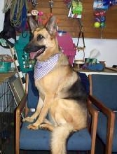What a Princess!