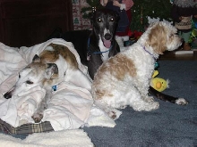 All three together!