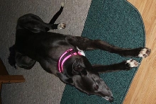 Lilly relaxing