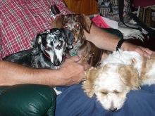 Winnie, Marti and Minna