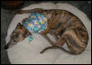 Spinner Easter