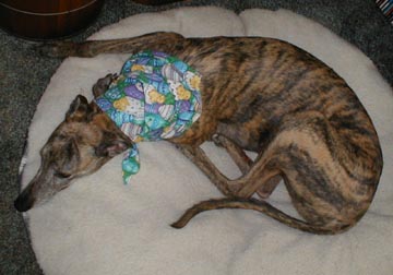 Spinner Easter