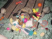 toys