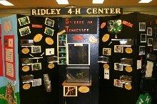 fair display