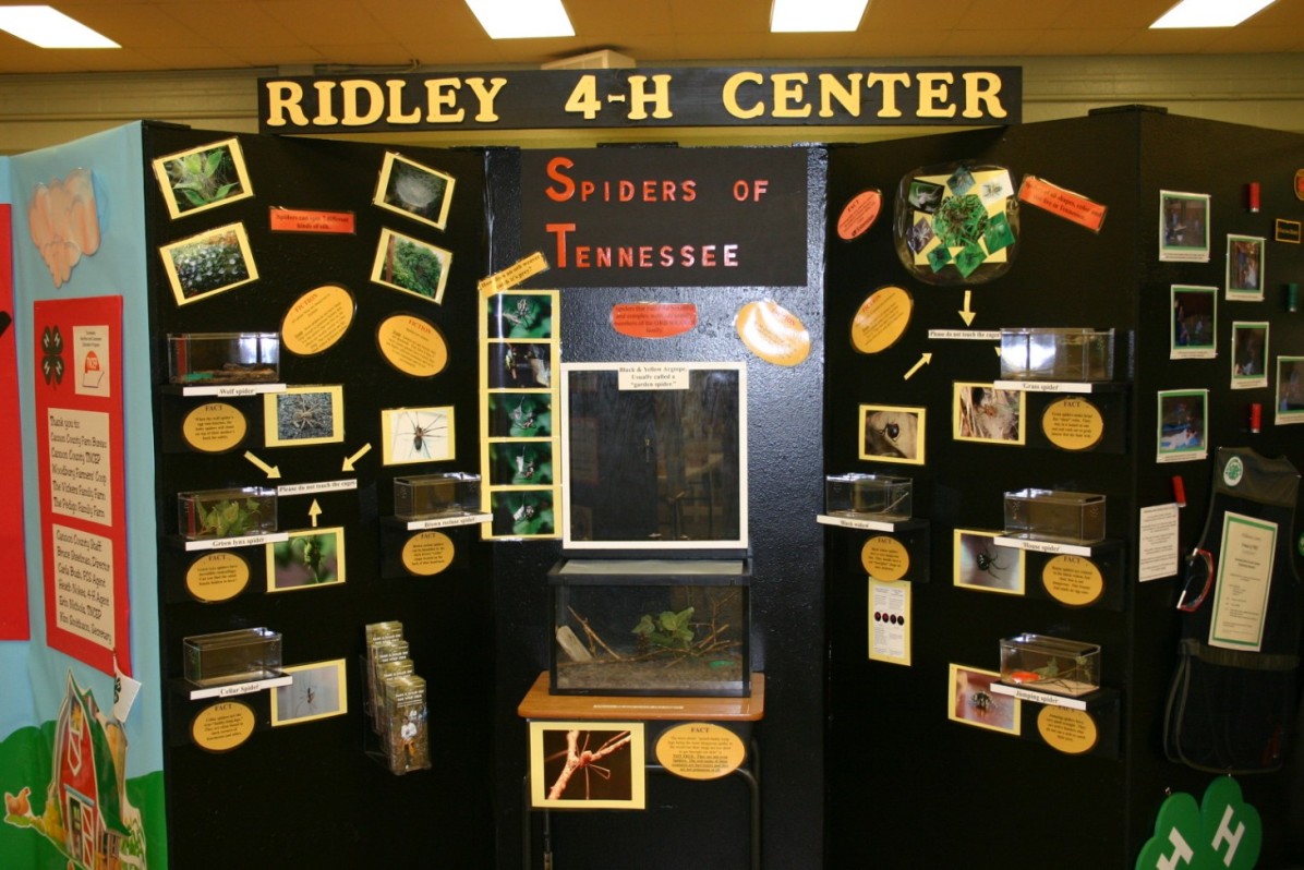fair display