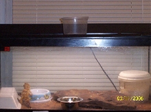 leo cage setup