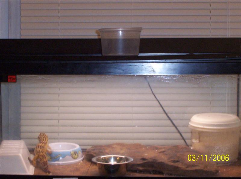 leo cage setup