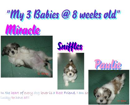 My 3 Little Ones