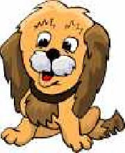 Shih Tzu Clip Art
