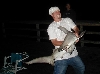 hammerhead