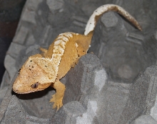 My new female!!!