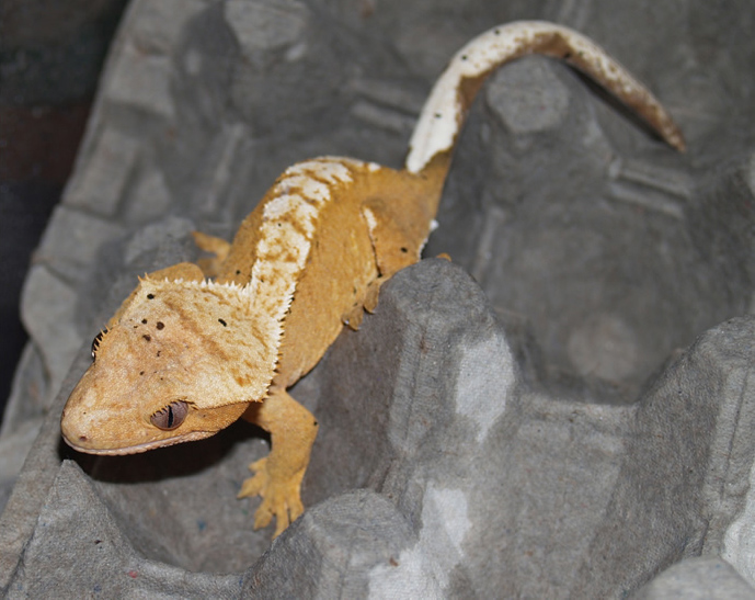 My new female!!!