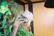 hangin' around
