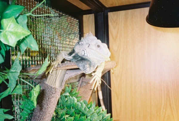 hangin' around
